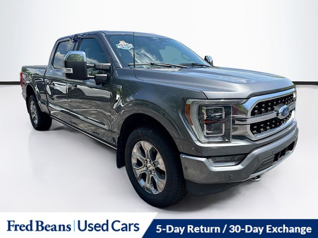 2022 Ford F-150 Platinum 4x4 SuperCrew 5-1/2 Box's photo