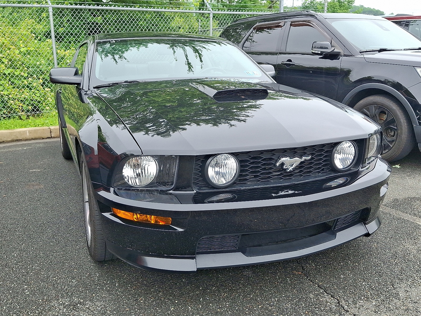 Used 2007 Ford Mustang GT Premium with VIN 1ZVFT82H375365124 for sale in Boyertown, PA