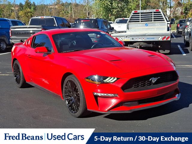2018 Ford Mustang EcoBoost photo 2