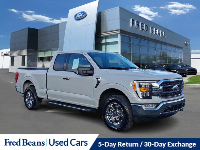 2023 Ford F-150 XLT's photo