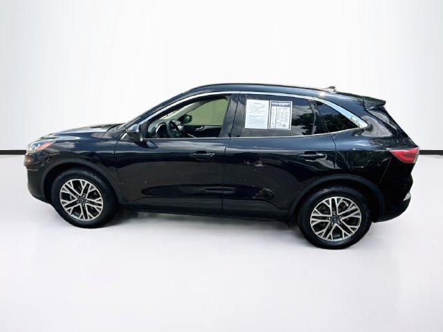 Used 2020 Ford Escape SEL SUV
