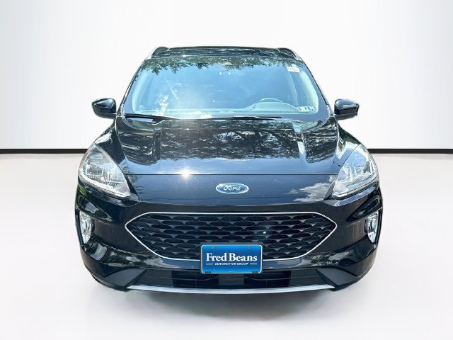 Used 2020 Ford Escape SEL SUV
