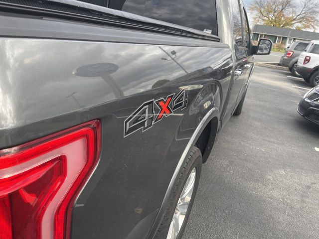 2015 Ford F-150 Platinum photo 3