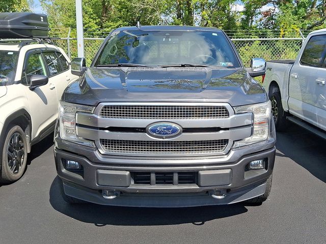 2019 Ford F-150 Platinum photo 2