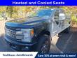 2019 Ford F-250 Platinum