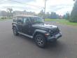 2020 Jeep Wrangler Unlimited Black and Tan 4x4