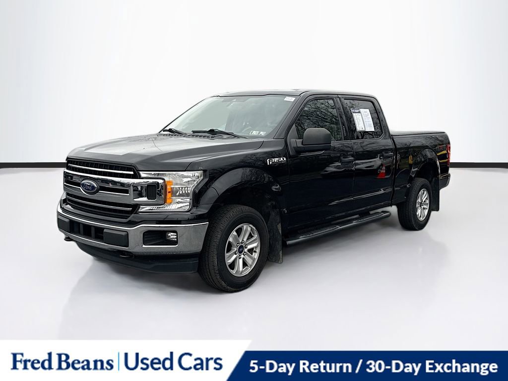 2019 Ford F-150 XL photo 3