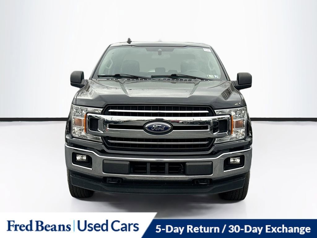 2019 Ford F-150 XL photo 2