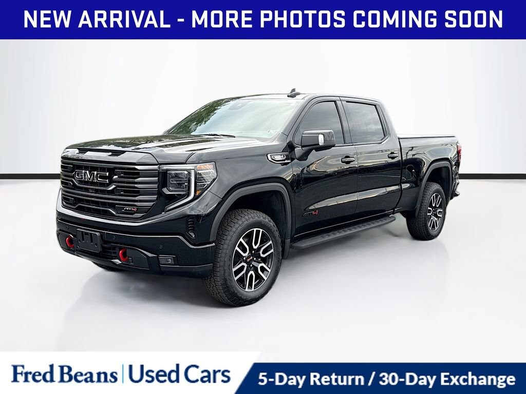 2025 Gmc Sierra 1500 AT4 photo 3