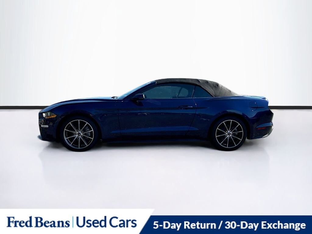 2019 Ford Mustang EcoBoost Premium photo 4