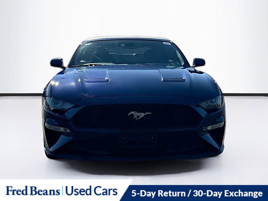 2019 Ford Mustang EcoBoost Premium photo 2