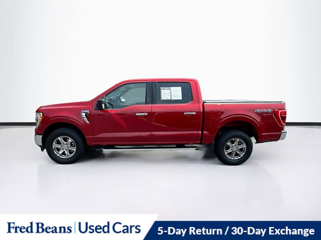 2022 Ford F-150 XL photo 4