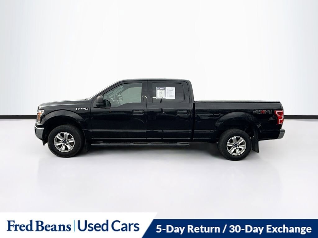 2019 Ford F-150 XL photo 4
