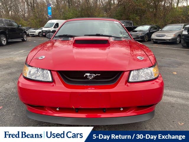 1999 Ford Mustang GT Convertible photo 2