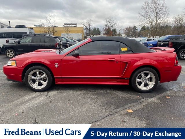 1999 Ford Mustang GT Convertible photo 4