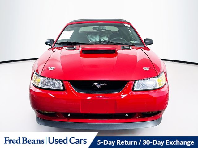 1999 Ford Mustang GT Convertible photo 2