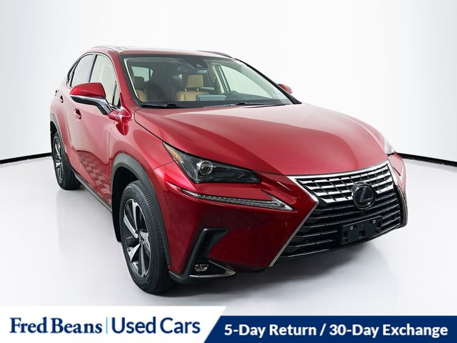 2021 Lexus NX Base's photo