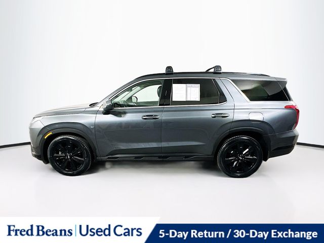 2024 Hyundai Palisade XRT - Photo 4