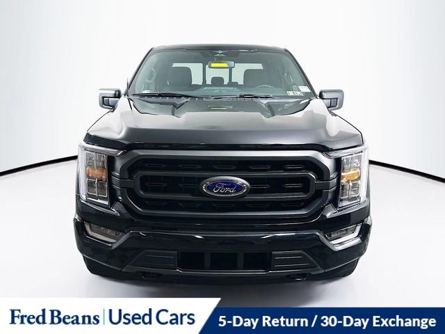 2023 Ford F-150 XLT photo 2