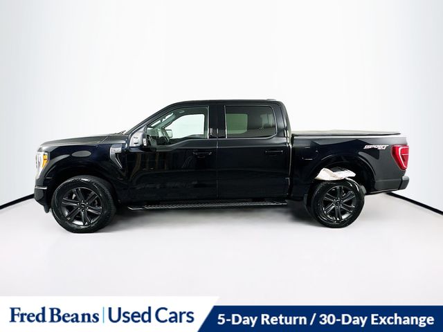 2023 Ford F-150 XLT photo 2