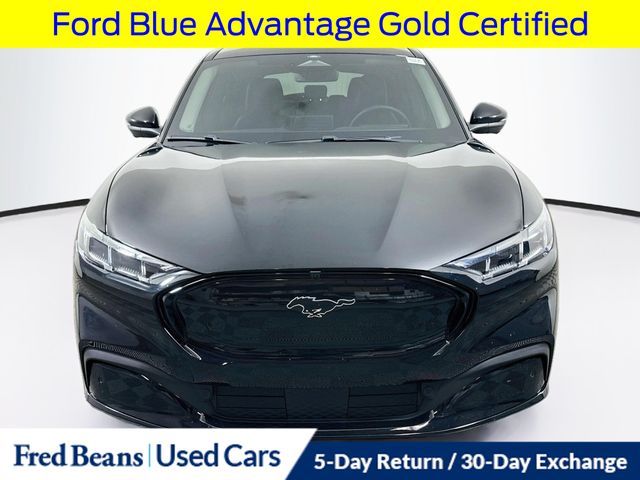Certified 2024 Ford Mustang Mach-E Premium AWD with VIN 3FMTK3SUXRMA27642 for sale in Doylestown, PA