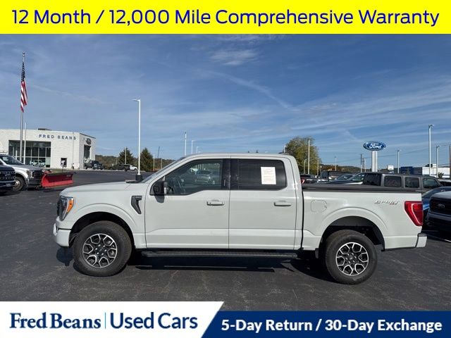 2023 Ford F-150 XLT photo 2