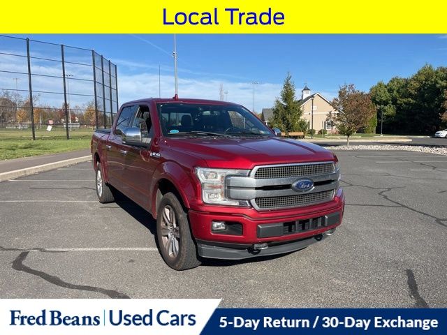 2019 Ford F-150 Platinum photo 2