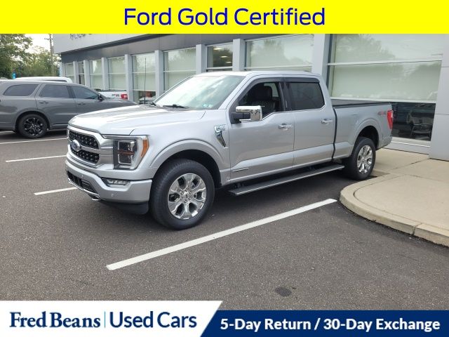 2022 Ford F-150 Platinum photo 2