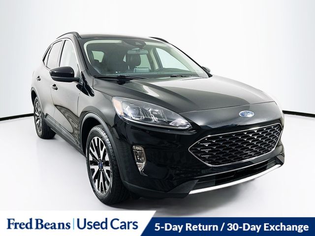 2020 Ford Escape SEL AWD 2.0L's photo