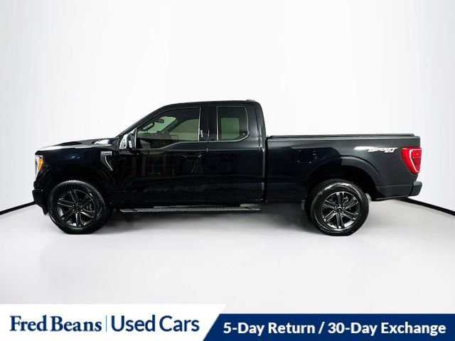 2023 Ford F-150 XLT photo 4