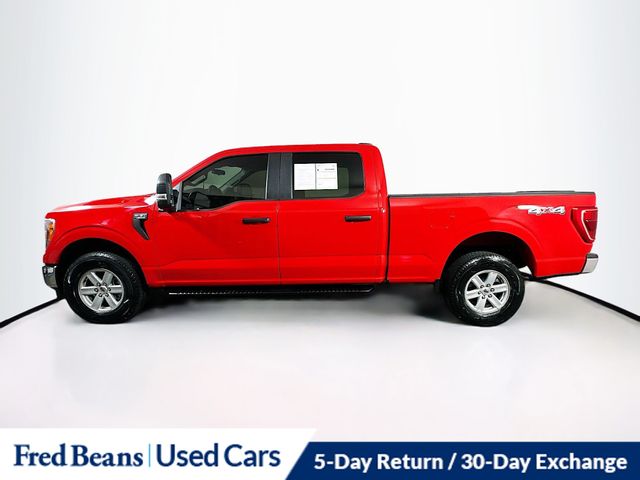 2022 Ford F-150 XL photo 4