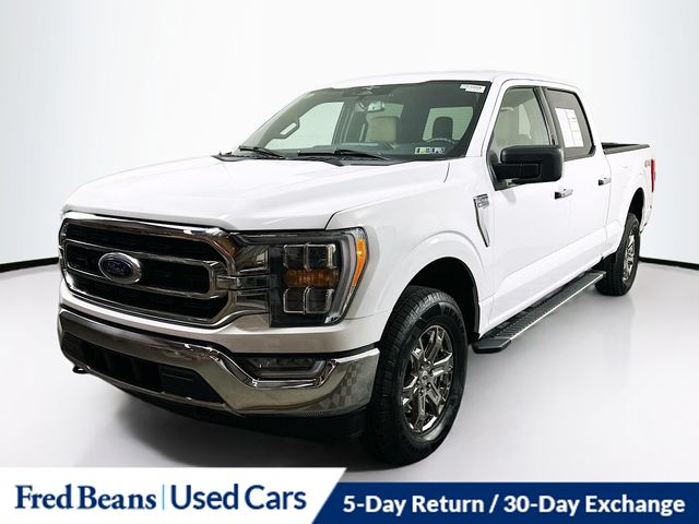 2023 Ford F-150 XLT photo 2