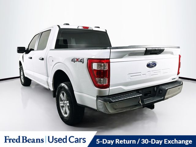 2023 Ford F-150 XL photo 4