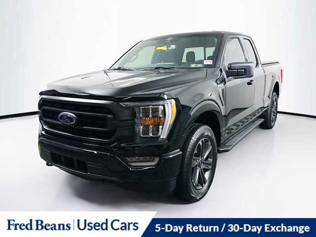 2023 Ford F-150 XLT photo 3