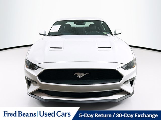 2022 Ford Mustang EcoBoost Premium photo 2