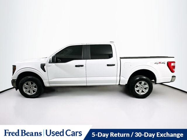 2023 Ford F-150 XL photo 3