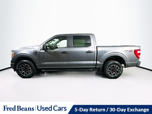 2022 Ford F-150 XL photo 4