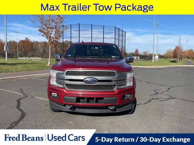 2019 Ford F-150 Platinum photo 2