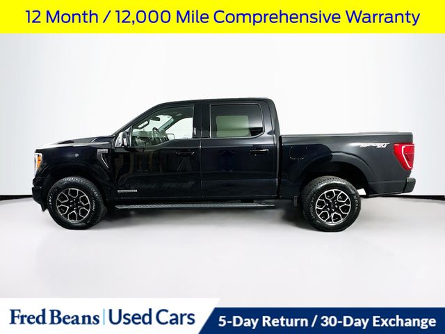 2023 Ford F-150 XLT photo 3
