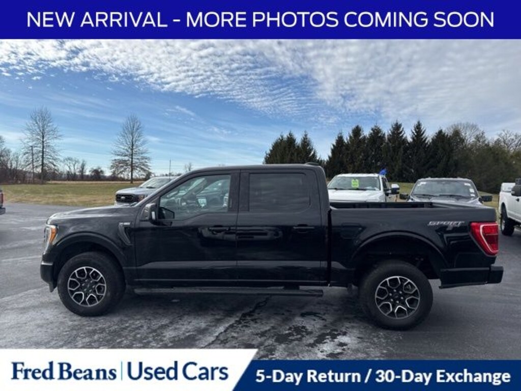 Used 2023 Ford F-150 Truck SuperCrew Cab