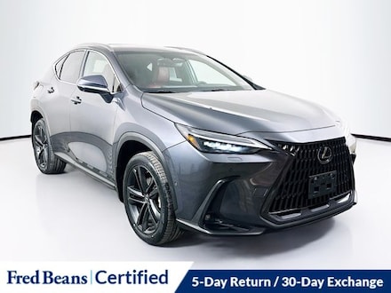 2022 LEXUS NX 450h+ Luxury