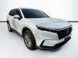 Used 2024 Honda CR-V EX-L SUV