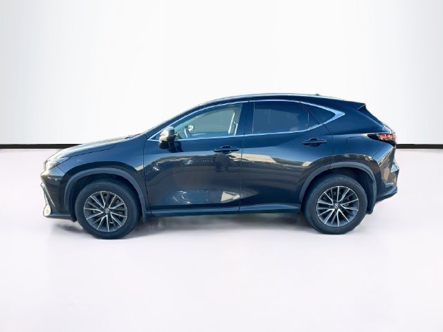 Used 2024 Lexus NX 350 350 Premium SUV
