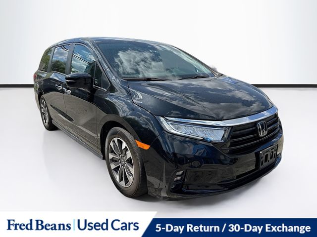 2023 Honda Odyssey EX-L's photo
