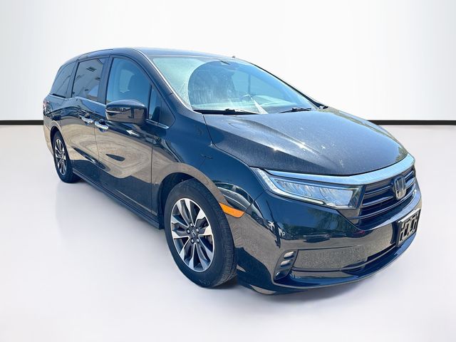 2023 Honda Odyssey EX-L's photo