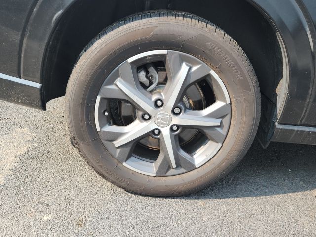 Photo 11