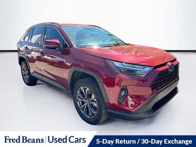 2024 Toyota RAV4 Hybrid XLE Premium AWD's photo