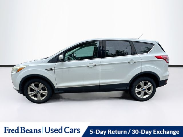 2013 Ford Escape SE's photo