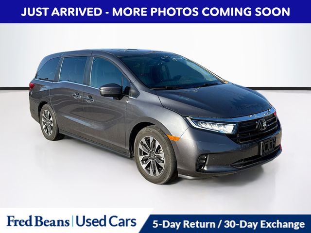 2024 Honda Odyssey Minivan/Van  2024 Honda Odyssey Minivan/Van