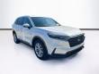 Used 2024 Honda CR-V EX-L SUV